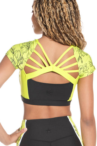 Take Flight Sports Bra