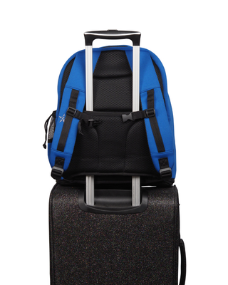 Neoprene in Royal Blue Rebel Dream Bag Plus with Black Zipper