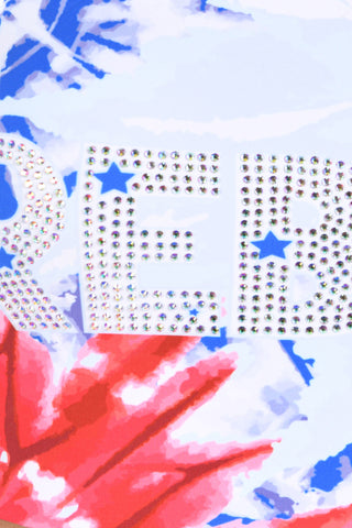 Liberty Sports Bra in Red White and Blue